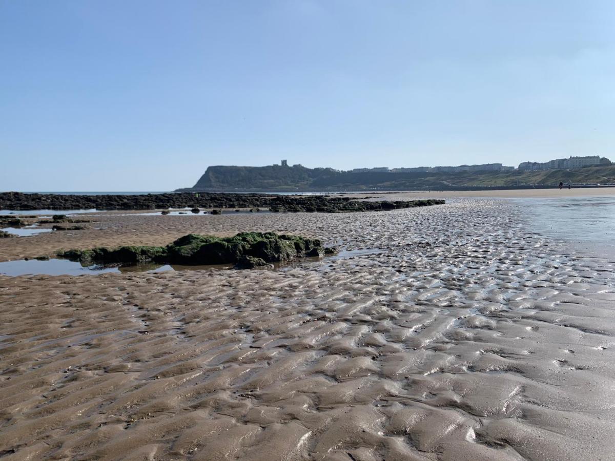 Bed & Breakfast The Headlands 4*